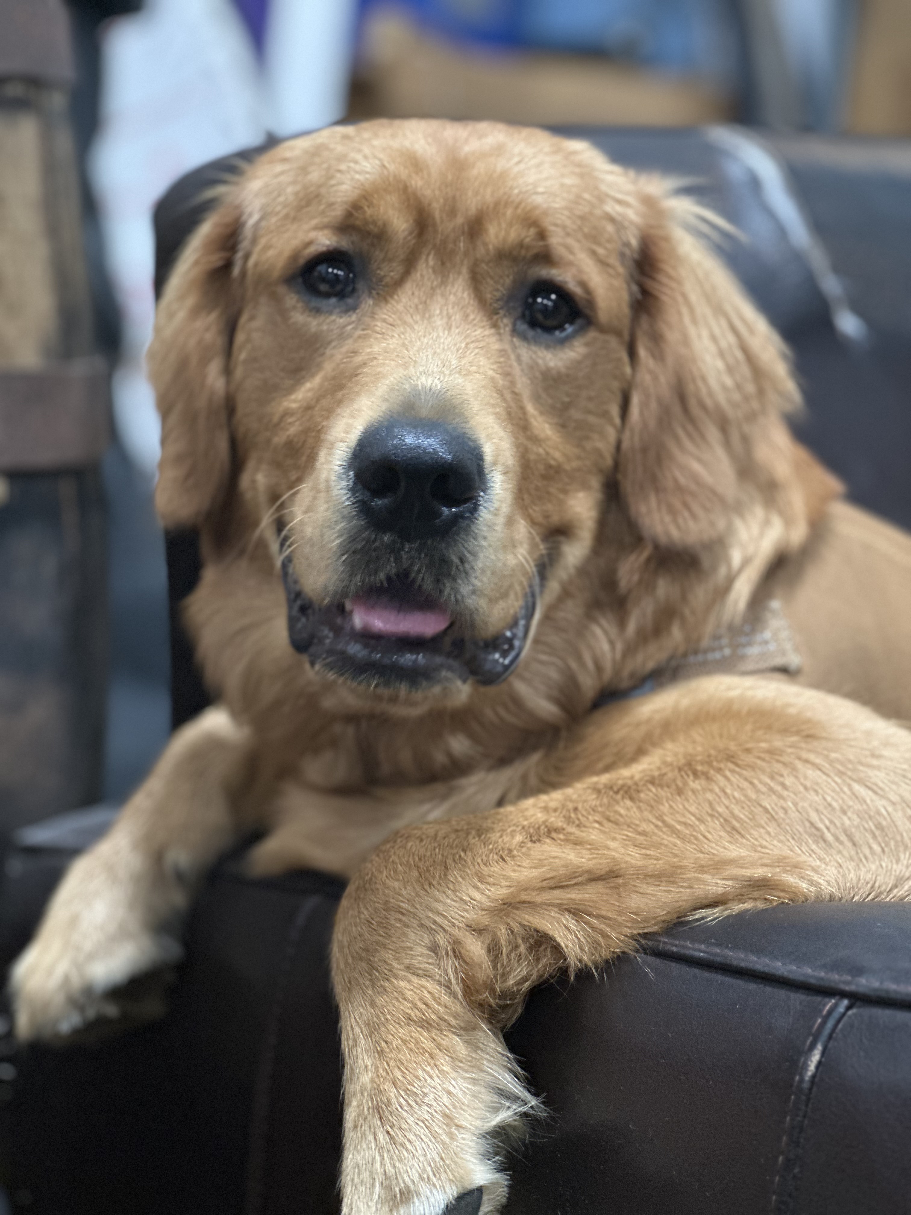 Winston